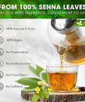 FreshDrinkUS, Premium 50 Mulberry Leaf Tea Bags, 100% Natural & Pure from Mulberry Leaves. Herbal Tea. Made with Natural Material Tea Bags. No Sugar, No Caffeine, No Gluten, Vegan.
