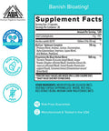 Zenwise No Bloat Supplement with Probiotics Turmeric and Digestive Enzymes Bloating and Gas Relief Ginger Dandelion and Cinnamon to Improve Digestion for Women Men Vegan Formula 60 Count