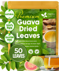 FreshDrinkUS, Premium 120 Mulberry Leaf Tea Bags, 100% Natural & Pure from Mulberry Leaves. Loose Leaf Herbal Tea. Made with Natural Material Tea Bags. No Sugar, No Caffeine, No Gluten, Vegan.
