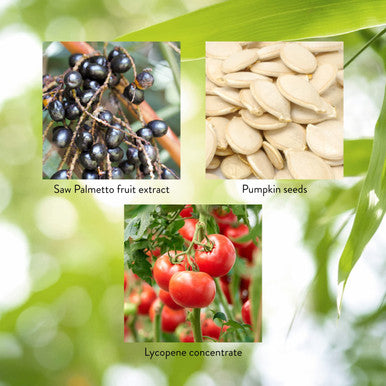 Nature'S Sunshine Men'S Formula With Lycopene 60 Capsules