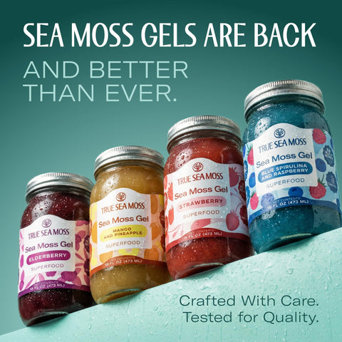 Trueseamoss Sea Moss Gel Made In Usa Wildcrafted Seamoss Fruits & Jarred Vegetables Mango/Pineapple Pack Of 1 (Labels May Vary)