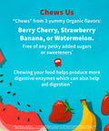 Garden of Life Dr. Formulated Probiotics For Kids Organic Kids+ - Berry Cherry 5 Billion Cfu Chewable Probiotic Plus Vitamin C And D Dairy Free Immune Digestive Health Supplement 30 Chewables