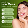 Atlantic Naturals Sea Moss 7 Day Detox Liver Gallbladder and Kidney Cleanse Support with Dandelion Root Milk Thistle Burdock Root Red Clover Chanca Piedra Pineapple Flavor Drink Mix (14 oz)