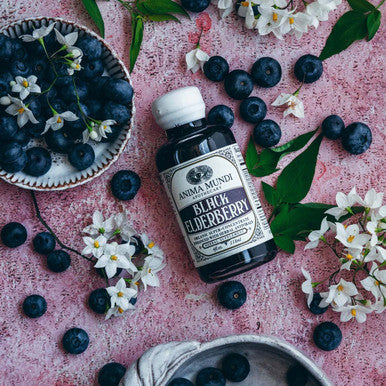 Anima Mundi Black Elderberry Syrup - Organic Elderberry Syrup for Immunity Support with Skullcap Baikal, Cordyceps, Reishi, Shiitake & Maitake Mushrooms (2oz / 59ml)