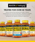 Mason Natural Stress B-Complex With Antioxidants + Zinc, 6 Month Supply, Dual Action Formula, Supports Energy Metabolism & Immune Health, 3 Pack