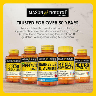 Mason Natural Stress B-Complex With Antioxidants + Zinc, 6 Month Supply, Dual Action Formula, Supports Energy Metabolism & Immune Health, 3 Pack