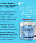 Creatine Monohydrate And Magnesium Gummies For Adults Beta Alanine, Collagen Peptides, L-Arginine, B Vitamins 60 Gummies