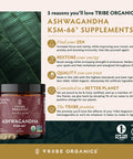 TRIBE ORGANICS Ashwagandha KSM 66 Pure Organic Root Powder Extract Ayurvedic Supplement 120 Capsules