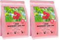 FullChea - White Mulberry Leaf Tea, 40 Teabags Ã¢â‚¬â€œ 100% Pure Dried Mulberry Tea Ã¢â‚¬â€œ Slightly Sweet & Refreshing - Non-GMO - Caffeine-Free - Support Wellness & Improve Digestion