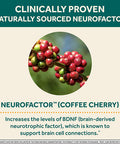 Neuriva Brain Energy Shots Nootropic Brain Supplement for Focus Concentration with Neurofactor Vitamin B12 150mg Caffeine for an Energy Boost 12 Count Tropical Flavor