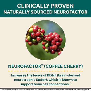 Neuriva Brain Energy Shots Nootropic Brain Supplement for Focus Concentration with Neurofactor Vitamin B12 150mg Caffeine for an Energy Boost 12 Count Tropical Flavor