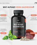 Organic Red Reishi Mushroom 1100mg | Wild-Grown Ganoderma Lucidum | Non-GMO, Gluten Free, Halal - 90 Vegan Capsules