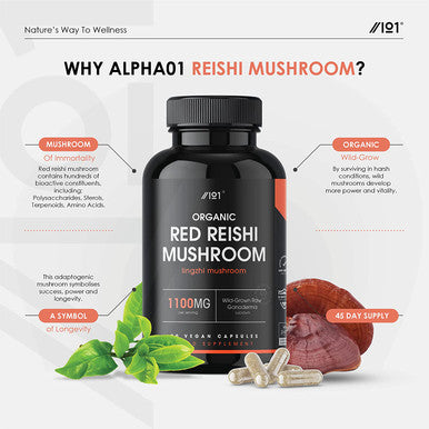 Organic Red Reishi Mushroom 1100mg | Wild-Grown Ganoderma Lucidum | Non-GMO, Gluten Free, Halal - 90 Vegan Capsules