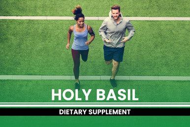 PURE ORIGINAL INGREDIENTS Holy Basil (365 Capsules) No Magnesium Or Rice Fillers, Always Pure, Lab Verified