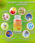 Overall Boosting Health Support Liposomal Vitamin C 1500Mg Vegan Whole Food Multivitamin With Iron Liposomal Vitamin C Liquid Gel 1100Mg For Enhanced Absorption And Bioavailability