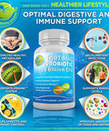 Quercetin 500mg with Bromelain Zinc and Vitamin C Supplement Bundle up with Vegan Probiotic Prebiotic Supplement and Optimal DIM Plus Supplement 200mg for Estrogen and Hormonal Balance