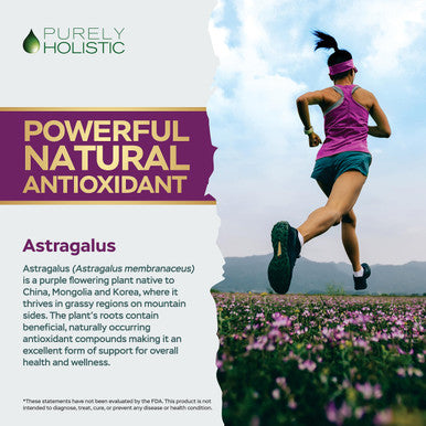 Purely Holistic Astragalus Capsules 5,000 Mg - 250 Capsules, 8+ Month Supply - Superior Strength Astragalus Root Extract 20:1 - Non Gmo, Vegetarian & Vegan Friendly - Supports The Immune System & Cardiovascular