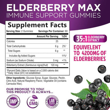 Nature'S Nutrition Sambucus Elderberry Gummies for Adults Teens & Kids - Super Concentrated 35:1 Extract Equivalent to 4200mg of Elderberries - Daily Immune Support Black Elderberry Vitamin Supplement - 120 Count