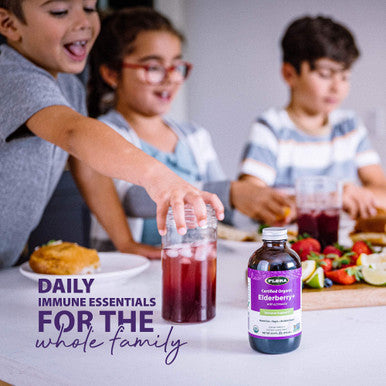 Flora SambuGuard Elderberry Immune Booster Echinacea No Added Sugar Gluten Free Liquid Daily Supplement Strengthen Immunity Detox Body Boost Energy 8.5oz. Powder
