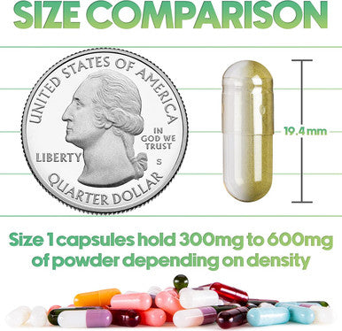 Xprs Nutra Size 1 Empty Capsules - 1000 Count Empty Gelatin Capsules - Empty Pill Capsules - DIY Capsule Filling - Pure Bovine Pill Capsules Empty Gel Caps (Clear)