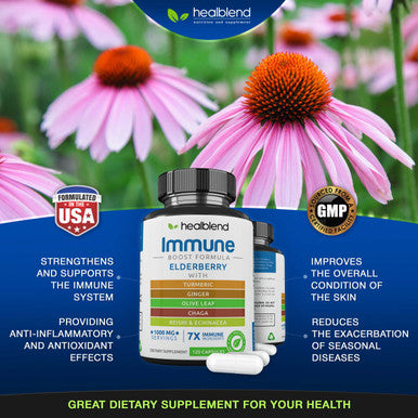 Immune Support Capsules Elderberry with Olive Leaf, Echinacea, Ginger, Chaga & Turmeric Blend - High Potency Immunity Boost Supplement - Immune System Booster Supplement, 120 Veg Capsules