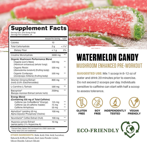 Ambrosia Kinetic Organic Preworkout Mushroom Enhanced Natural Pre Workout Supplement Nootropic Superfood Powder For Energy (Watermelon Candy)