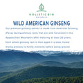 Holistic Bin Wild American Ginseng Powder Pure Organic Ginseng Supplement Made with Wild Harvested 20+ Year Old Roots from Appalachia (Panax Quinquefolius) | No Fillers or Additives (25 Grams)