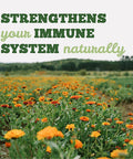 St Francis Herb Farm Deep Immune Licorice-Free, 50ml
