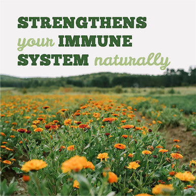 St Francis Herb Farm Deep Immune Licorice-Free, 50ml