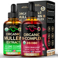 NUTRAHARMONY Organic Mullein & Vitamin B Complex Drops