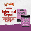 Barlean's Platinum Intestinal Repair Mixed Berry 6.35 Oz. 169635