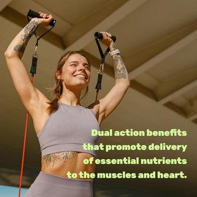 Deal Supplement Nitric Oxide Booster 30000mg Equivalent 360 Capsules Natural Beet Root & Marshmallow Root Herbal Blend Promotes Nutrient Flow to Muscles & Heart Non-GMO