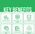 Super Enzymes Supplement 15 Vegan PlantBased Digestive Enzymes with Prebiotics Probiotics Bioperine Supports Gut Health Gluten Digestion Lactose Absorption Leaky Gut 60 Veggie Capsules
