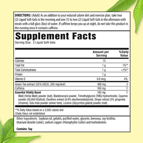 Applied Nutrition Green Tea Fat Burner - 30 Liquid Soft-Gels Pack Of 3 - Increases Calorie Burning & Supplies Powerful Antioxidants 45 Total Servings