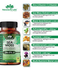 NaturaLife Labs Sea Moss 6000Mg - Black Seed Oil 2500Mg - Bladderwrack 2000Mg - Turmeric 1500Mg Ashwagandha 1000Mg - Burdock 1000Mg - Vitamin C D3, Yellow Dock Root Manuka Dandelion - 90 Veggie Caps