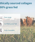 100% Grass Fed Bovine Collagen, Advanced Hydrolyzed Collagen Peptides, 400G, Easy-Mix, Super Premium Protein Powder, 40 Servings, By Igennus