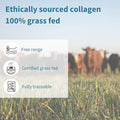 100% Grass Fed Bovine Collagen, Advanced Hydrolyzed Collagen Peptides, 400G, Easy-Mix, Super Premium Protein Powder, 40 Servings, By Igennus