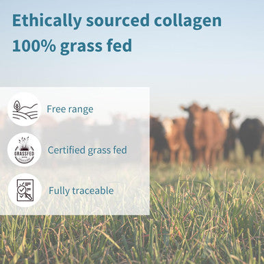 100% Grass Fed Bovine Collagen, Advanced Hydrolyzed Collagen Peptides, 400G, Easy-Mix, Super Premium Protein Powder, 40 Servings, By Igennus