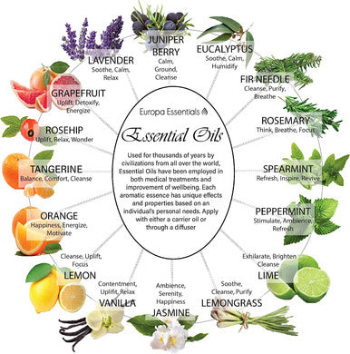 Europa Essentials All Natural GOOD NIGHT Sleep Assist Synergy Essential Oil Blend - 100% PURE Therapeutic Grade, Aromatherapy Blend w/ Ylang Ylang, Sweet Orange, Marjoram, Clary Sage & Geranium, 10ml