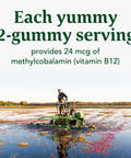 MegaFood B12 Energy Gummies - Vitamin B12 - Supports Energy Metabolism - B12 Gummies For Adults - Methylcobalamin B12- Vegan Supplement Certified Organic Non Gmo- Cranberry- 70 Gummies 35 Servings