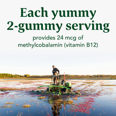 MegaFood B12 Energy Gummies - Vitamin B12 - Supports Energy Metabolism - B12 Gummies For Adults - Methylcobalamin B12- Vegan Supplement Certified Organic Non Gmo- Cranberry- 70 Gummies 35 Servings