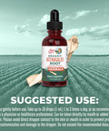 Maryruth Organics Astragalus Root Sugar USDA Organic Astragalus Extract for Immune Support Focus and Cardiovascular Support Astragalus Root Organic Liquid Drops Non-GMO Vegan 1 Fl Oz