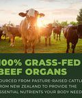 Left Coast Performance Beef Organ Supplement Grass Fed - 7 Beef Organs Complex from New Zealand - Liver Heart Pancreas Kidney Lung Spleen Bone Marrow - Non-GMO No Fillers Hormone & Antibiotic Free - Carnivore Diet - 180ct