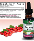 Nature'S Answer Barberry Root with Organic Low Alcohol 1-Fluid Ounce | Promotes Immune Function | Supports Digestive Health