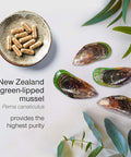 Green Lipped Mussel Capsules 1000mg - Pure New Zealand Green Lipped Mussel Powder for Humans & Dogs - 90 Tablets - High Strength Supplement 500mg per Capsule - Made in The UK