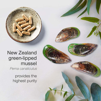 Green Lipped Mussel Capsules 1000mg - Pure New Zealand Green Lipped Mussel Powder for Humans & Dogs - 90 Tablets - High Strength Supplement 500mg per Capsule - Made in The UK