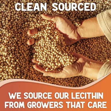Xprs Nutra Soy Lecithin Granules Non GMO - Lecitina de SOYA - 100% Pure Soy Lethicin Granules - Premium SOYA Lethicin Granules - Food Grade Fat Emulsifier Suitable for Baking (8 Ounce)