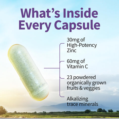 Garden Of Life Zinc Supplements 30Mg High Potency Raw Zinc And Vitamin C Multimineral Supplement Vitamin Code Vitamins Trace Minerals & Probiotics For Skin Health & Immune Support 60 Vegan Capsules