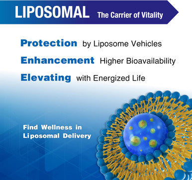 LOVITA Liposomal NR (Nicotinamide Riboside) 1000 mg with Quercetin & Trans-Resveratrol Support Cellular Health and Healthy Aging 100 Vegan Enteric-Coated Capsules