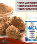 YUMMYVITE Maca Root Capsules - Concentrated 4:1 Extract (Equivalent To 1,600Mg Per Capsule) Lepidium Meyenii - 60 Capsules